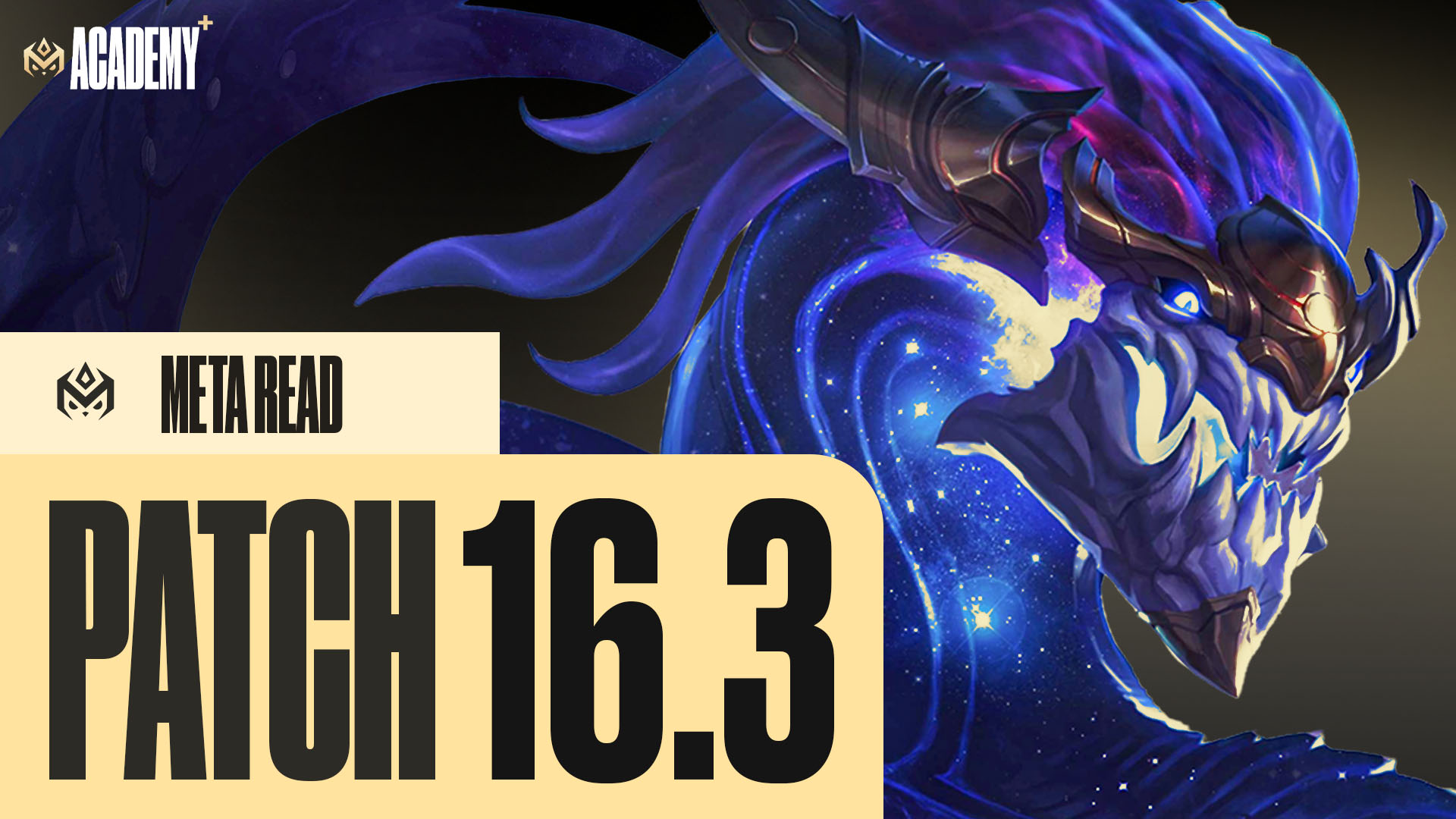 16.3 Meta Read thumbnail