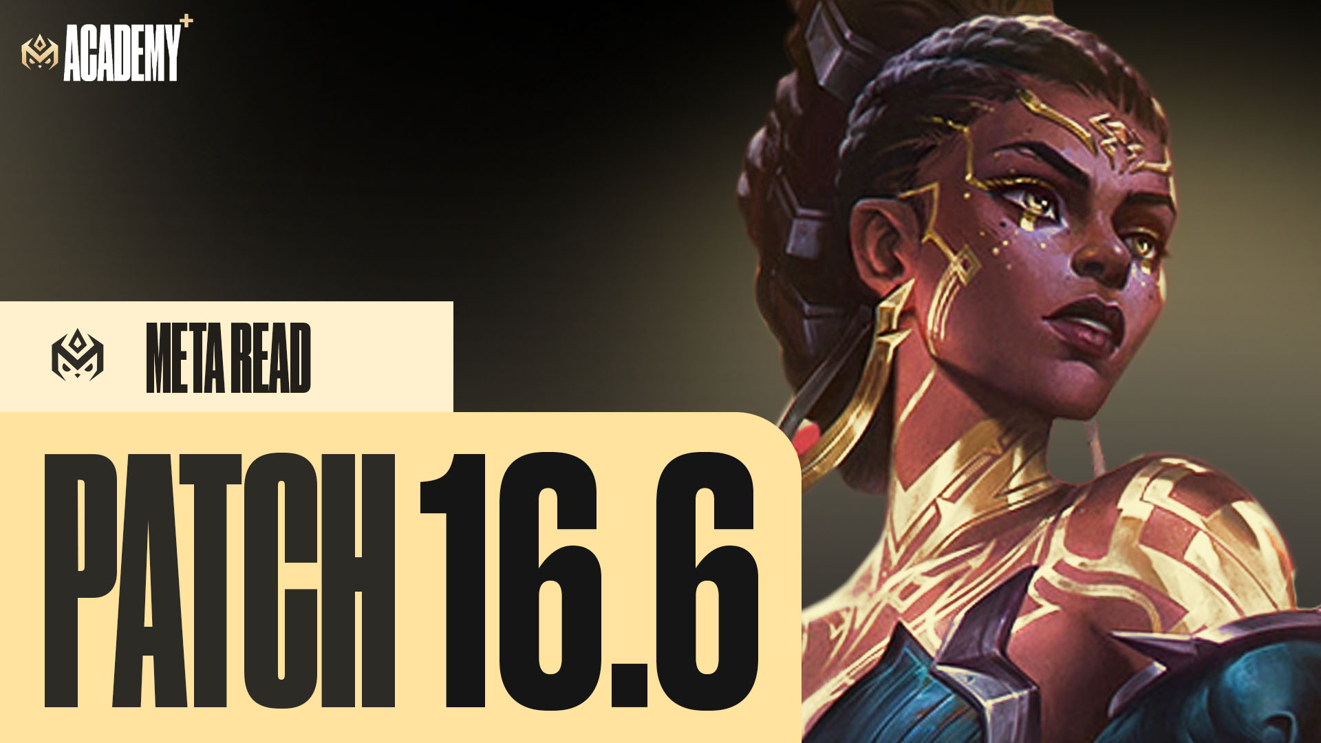 16.6 Meta Read thumbnail