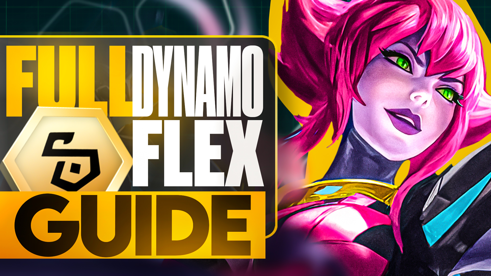 Dynamo Flex Guide thumbnail