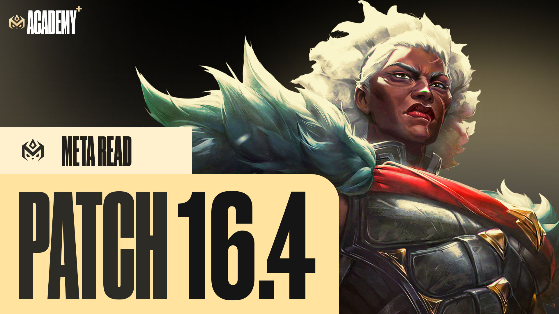 16.4 Meta Read thumbnail